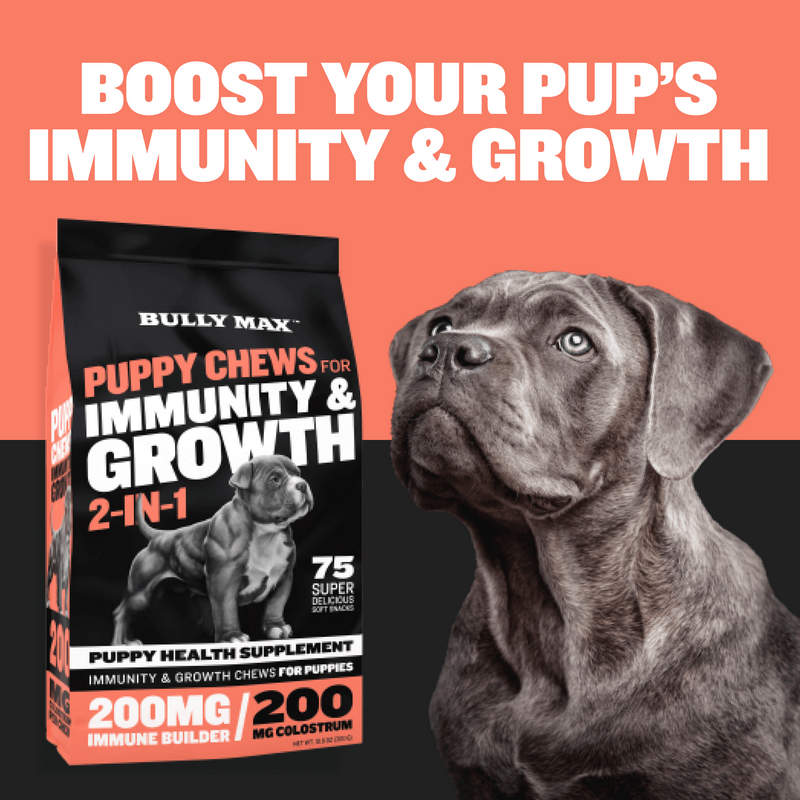 Bully Max Puppy Chews for Immunity & Growth High Quality