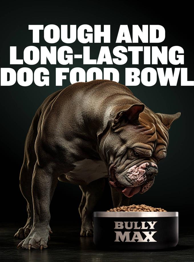 Heavy Duty Steel Dog Bowl On Sale