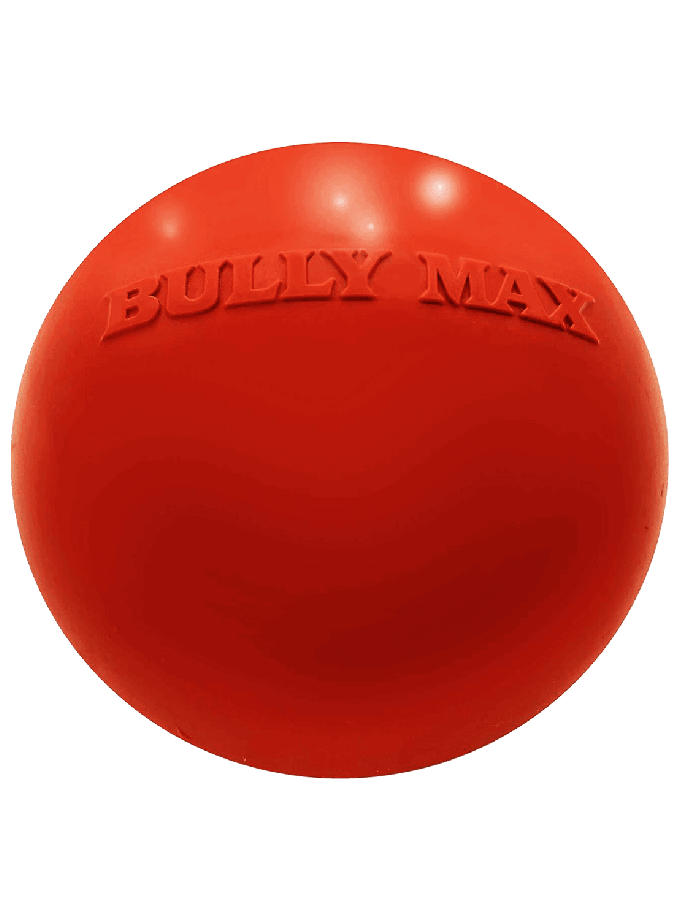 Indestructible Dog Ball for Power Chewers On Sale