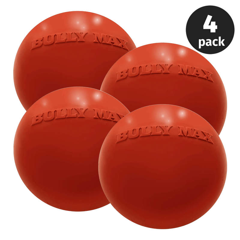 Indestructible Dog Ball for Power Chewers On Sale