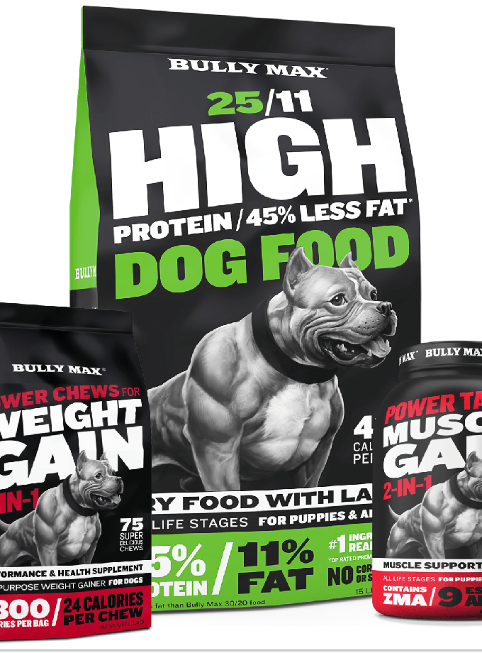 Nutrition Plan for Muscle & Weight Gain On Sale