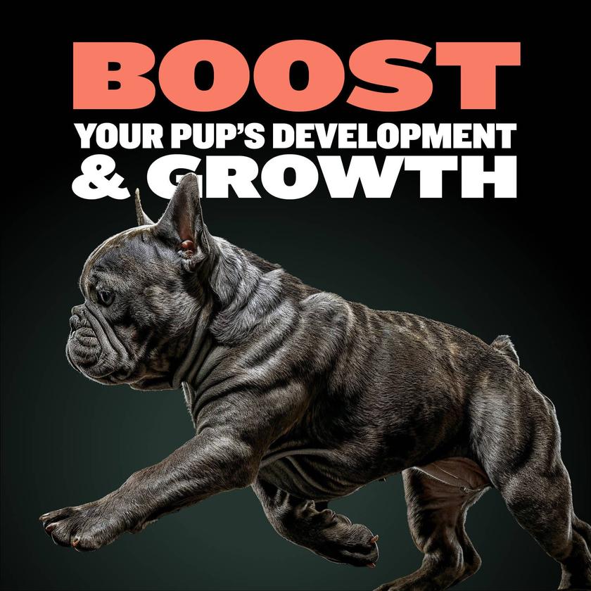 Puppy Tabs for Development & Growth Best Price