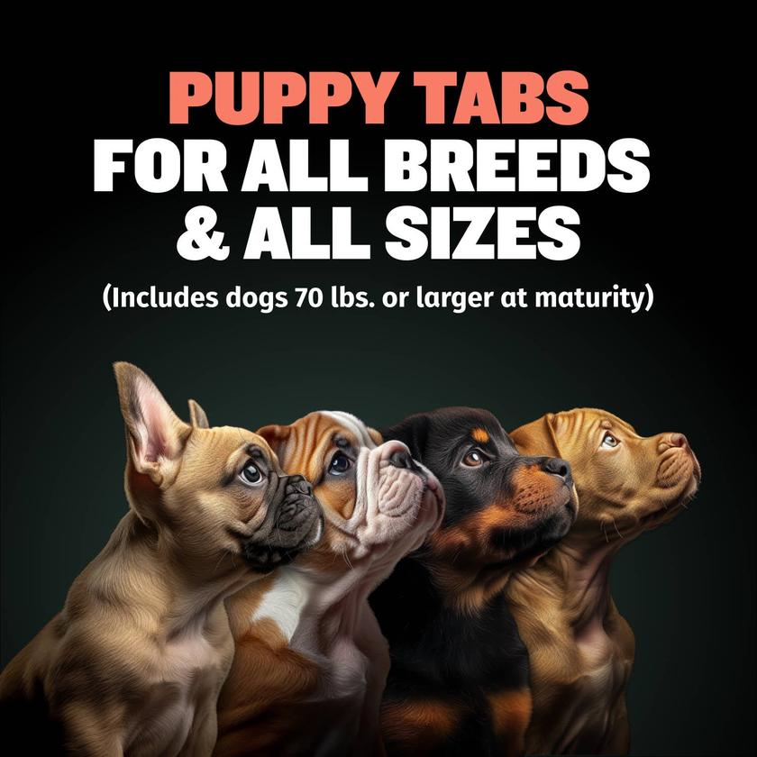 Puppy Tabs for Development & Growth Best Price